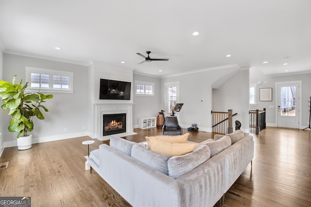 living room with hardwood / wood-style floors and a wealth of natural light