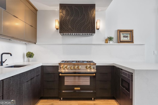 kitchen with extractor fan, light hardwood / wood-style flooring, stainless steel appliances, and sink