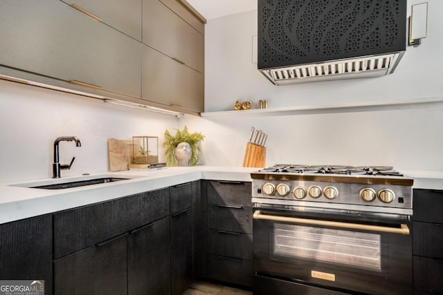 kitchen with sink, range hood, and stainless steel range with gas stovetop