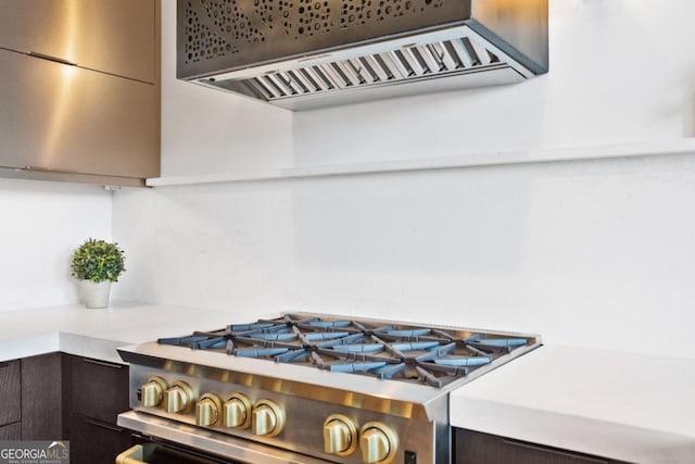 kitchen featuring premium range hood, gas stove, and dark brown cabinets