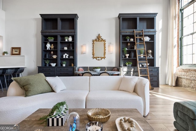 living room featuring hardwood / wood-style flooring