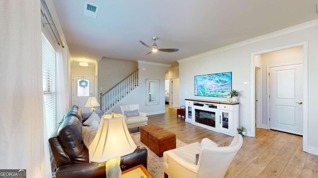 living room with crown molding, light wood finished floors, visible vents, ceiling fan, and stairs