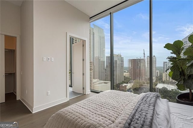 bedroom with a walk in closet, dark wood-type flooring, and a wall of windows