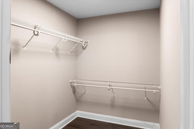 spacious closet featuring dark wood-style flooring