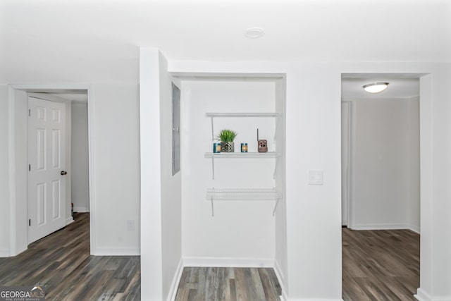 hallway featuring dark hardwood / wood-style flooring