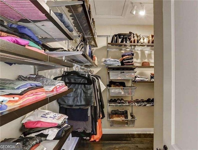 spacious closet featuring dark wood-type flooring