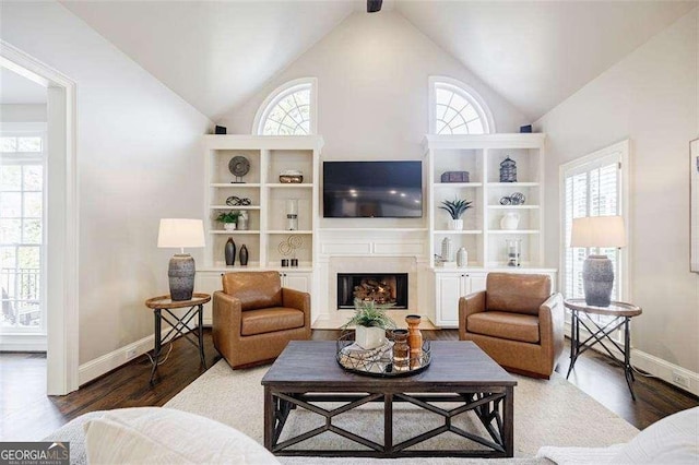 living room featuring hardwood / wood-style flooring and high vaulted ceiling