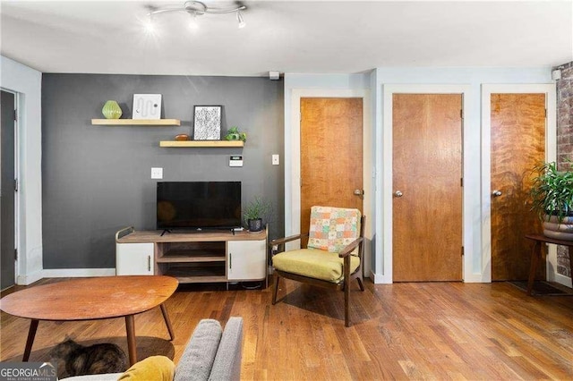 living room with hardwood / wood-style flooring