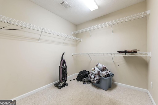 spacious closet featuring carpet