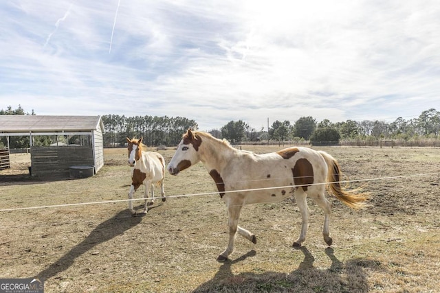 view of stable featuring a rural view