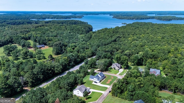 drone / aerial view with a water view and a view of trees