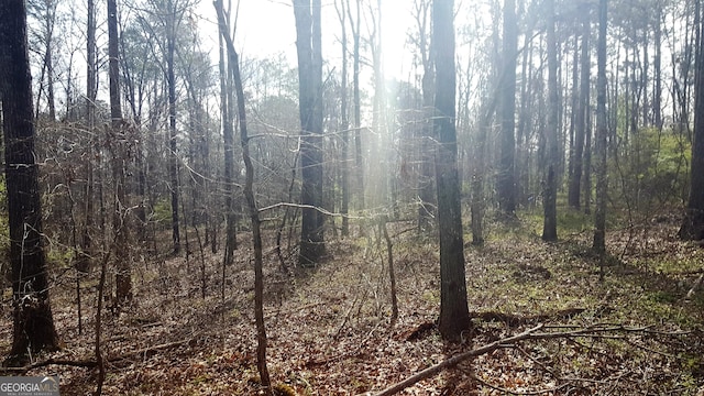 Listing photo 2 for 0 Stagecoach Rd Unit 20.17Acres, Stockbridge GA 30281