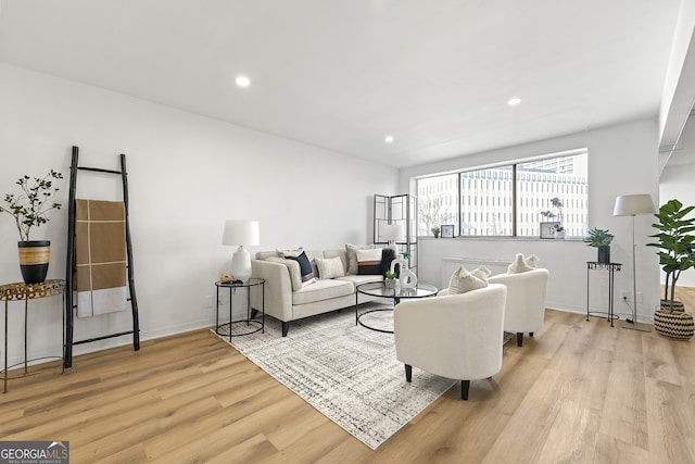 living room featuring light hardwood / wood-style flooring