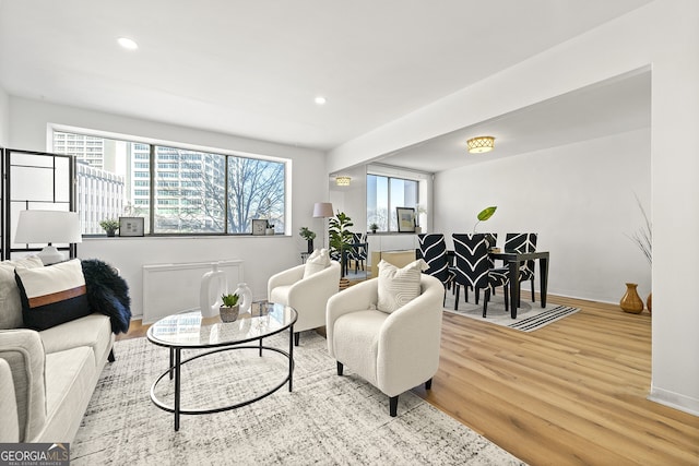 living room featuring light hardwood / wood-style flooring