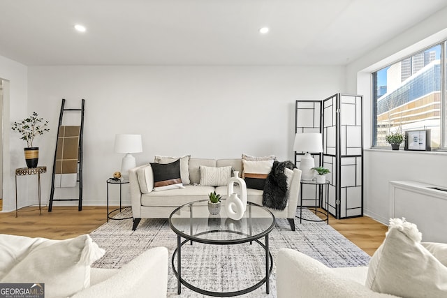 living room with light hardwood / wood-style flooring