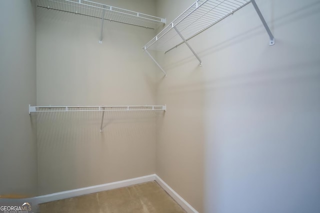 view of walk in closet