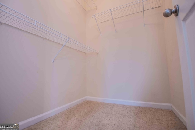 walk in closet featuring carpet floors