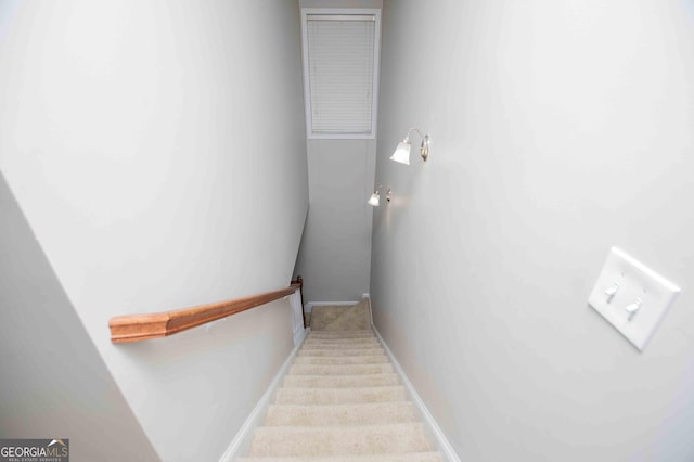 staircase featuring carpet flooring