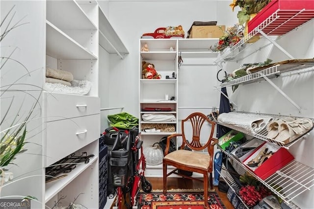 spacious closet featuring hardwood / wood-style floors