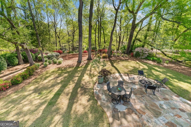 9135 Etching Overlook, Johns Creek, GA 30097 - view of yard with a patio area and a fire pit