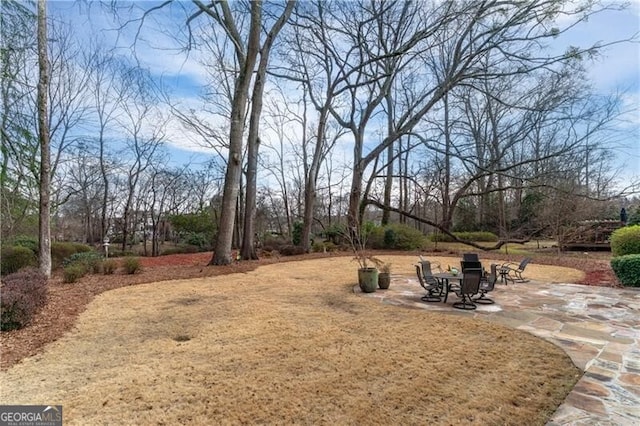 9135 Etching Overlook, Johns Creek, GA 30097 - view of yard with a patio