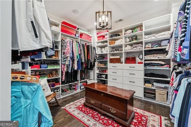 walk in closet featuring an inviting chandelier and dark hardwood / wood-style floors