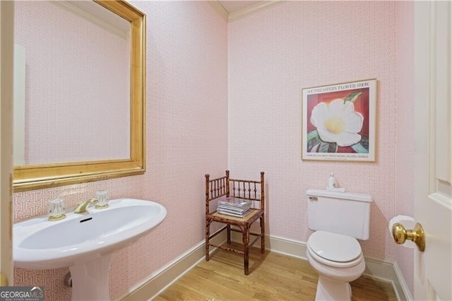 bathroom featuring sink, hardwood / wood-style floors, and toilet