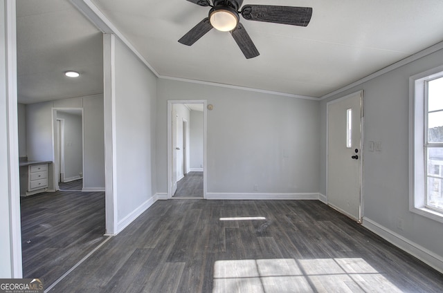 foyer featuring dark hardwood / wood-style flooring, a wealth of natural light, and ornamental molding