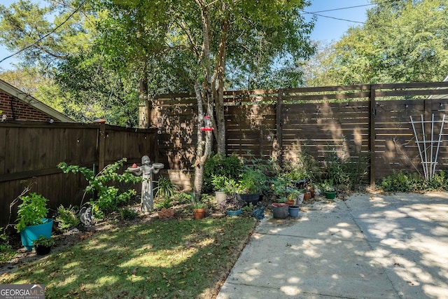 view of yard featuring a patio