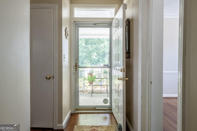 entryway with hardwood / wood-style flooring