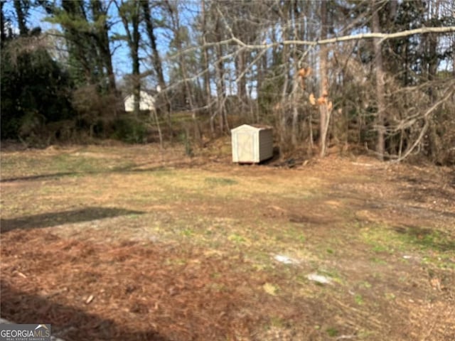 view of yard featuring a shed