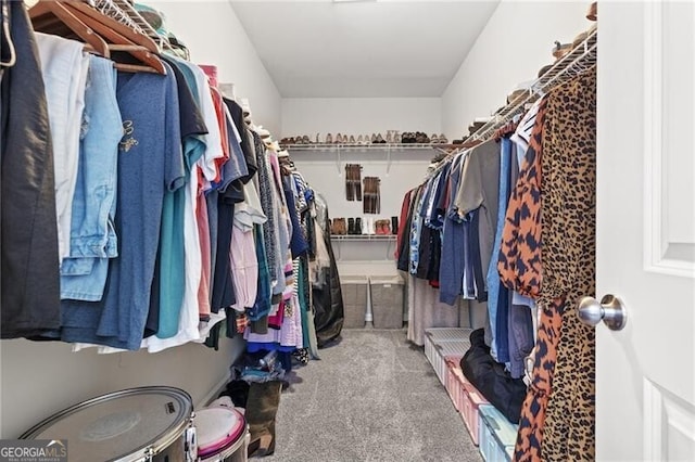 spacious closet with carpet flooring