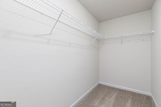 spacious closet with carpet flooring