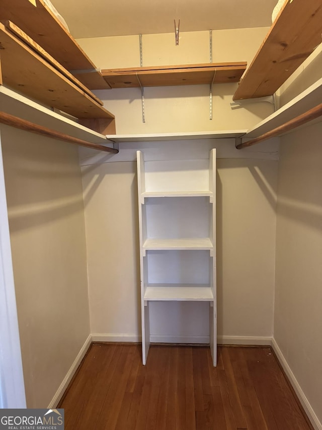 spacious closet featuring dark hardwood / wood-style floors