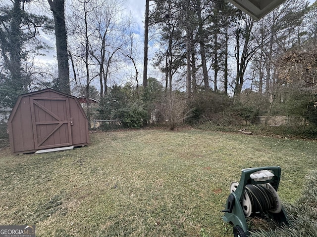 view of yard with a storage unit