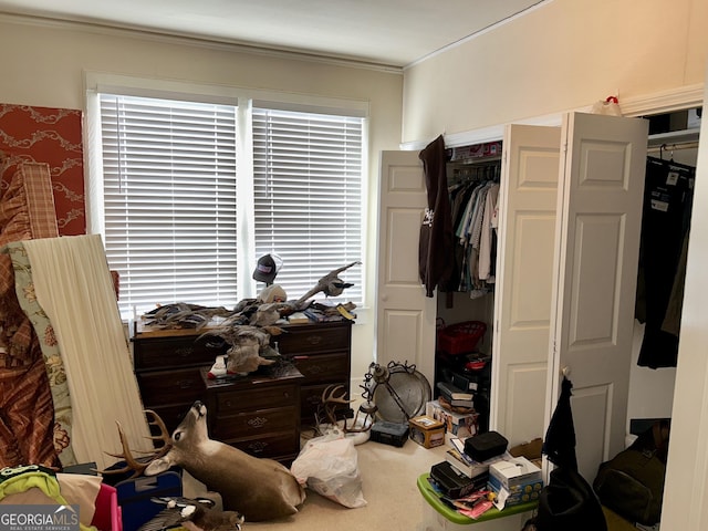 bedroom with multiple windows and ornamental molding