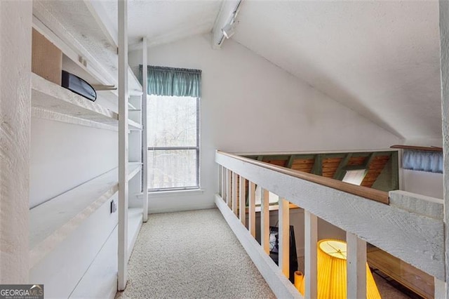 corridor featuring lofted ceiling with beams and carpet flooring