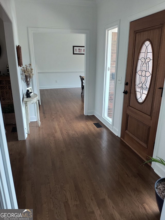 foyer entrance featuring dark wood-type flooring and a wealth of natural light