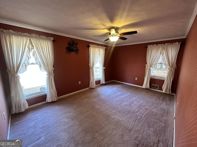 spare room featuring ceiling fan, ornamental molding, a textured ceiling, and carpet flooring