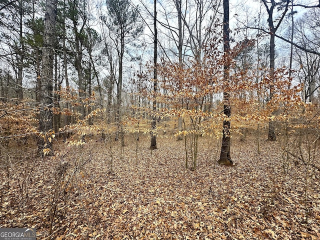 view of local wilderness