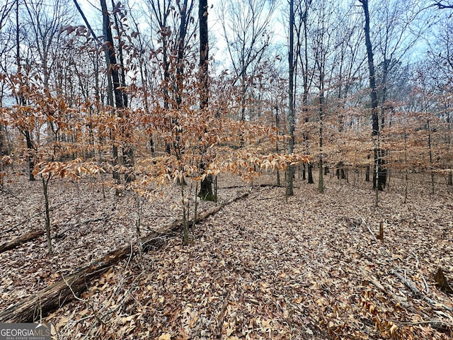 view of landscape