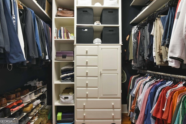 view of spacious closet