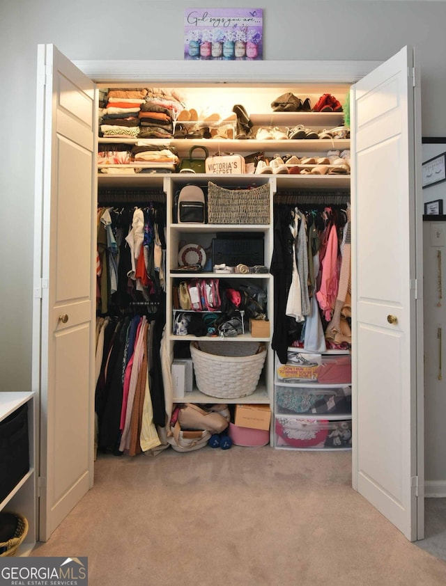 view of closet