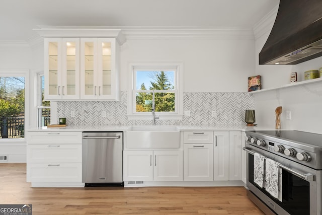 kitchen featuring premium range hood, white cabinetry, ornamental molding, light hardwood / wood-style floors, and stainless steel appliances