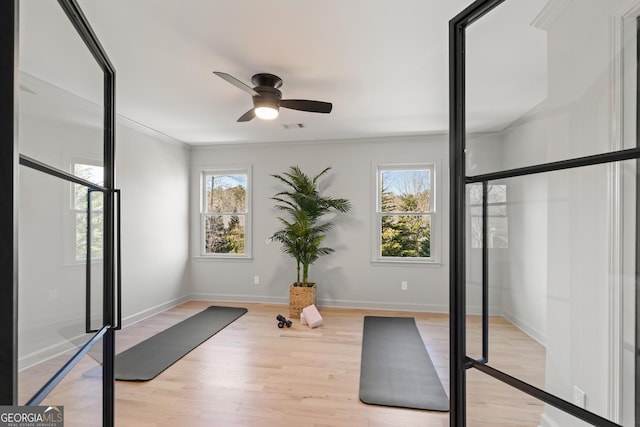 exercise area featuring crown molding, ceiling fan, and light hardwood / wood-style floors