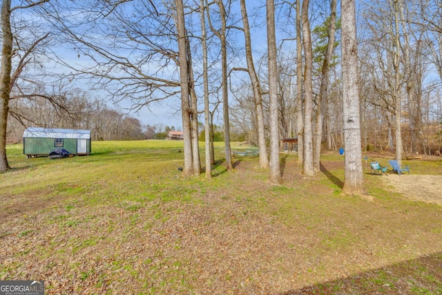 view of yard featuring a storage unit