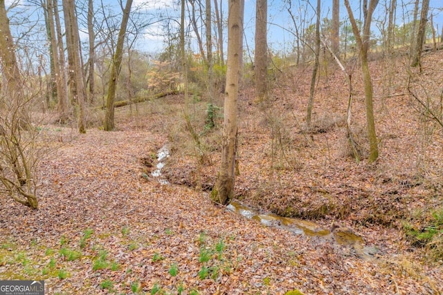 view of local wilderness