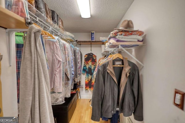 spacious closet with light hardwood / wood-style flooring