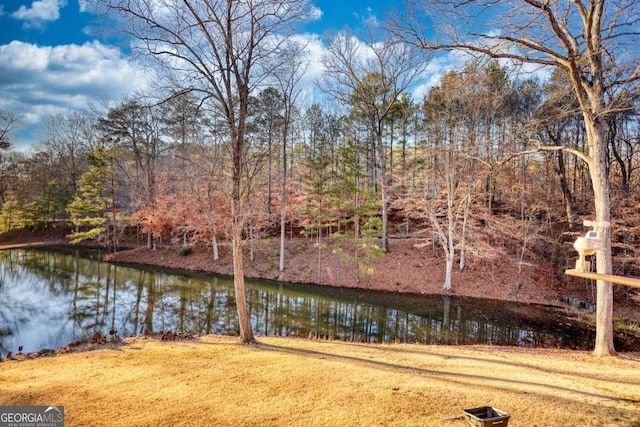 property view of water