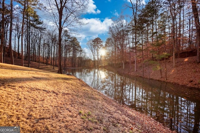 property view of water